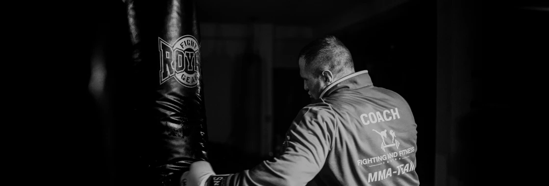 Boxing styles Boxer-Puncher